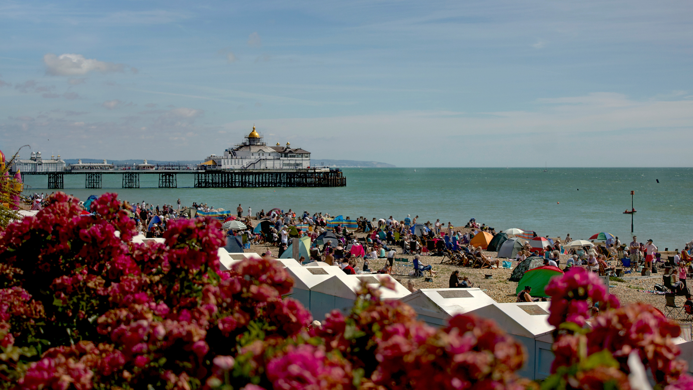 Accountants in Eastbourne